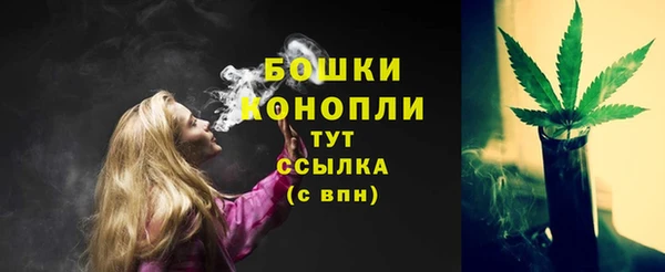 мдпв Краснотурьинск
