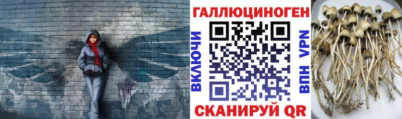 Галлюциногенные грибы MAGIC MUSHROOMS купить сайты Владикавказ