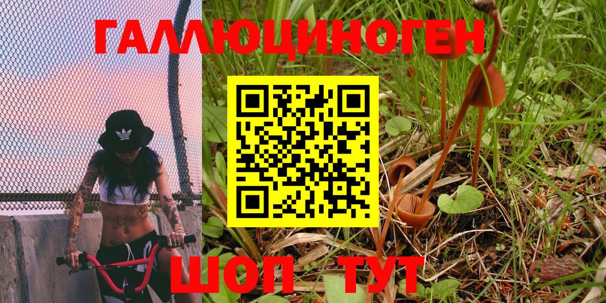 как найти закладки  Псилоцибиновые грибы мухоморы  Владикавказ  Псилоцибиновые грибы MAGIC MUSHROOMS 