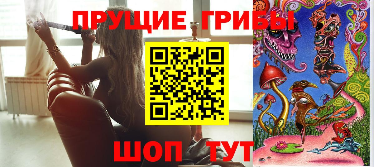 Галлюциногенные грибы Psilocybine cubensis Владикавказ