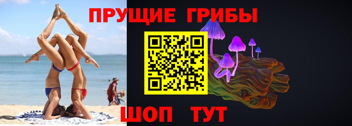 Владикавказ  Псилоцибиновые грибы MAGIC MUSHROOMS  Галлюциногенные грибы ЛСД  Вход с VPN 